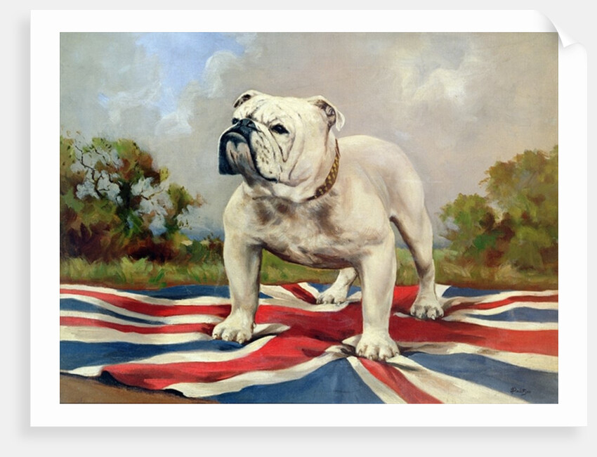 British Bulldog by English School