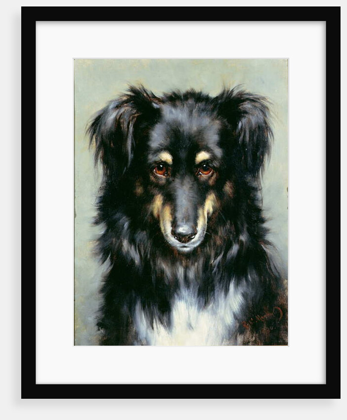 A Black and Tan Collie, 1890 by Robert Morley