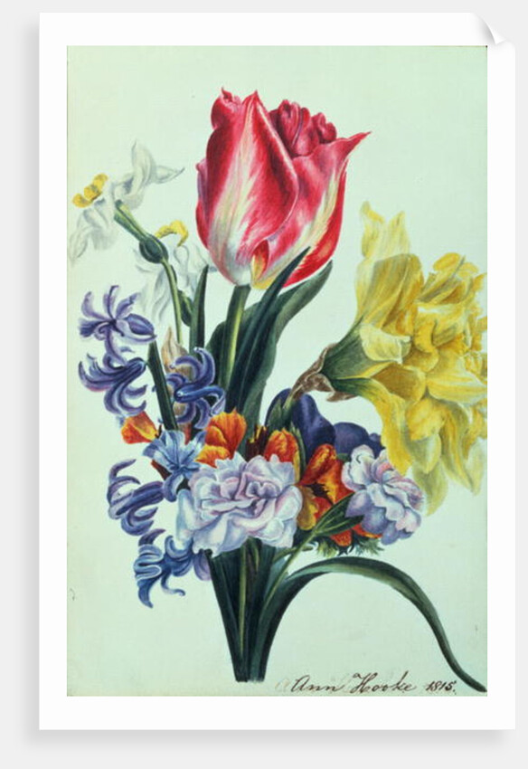 Spring Flowers, 1815 by Anne Hooke