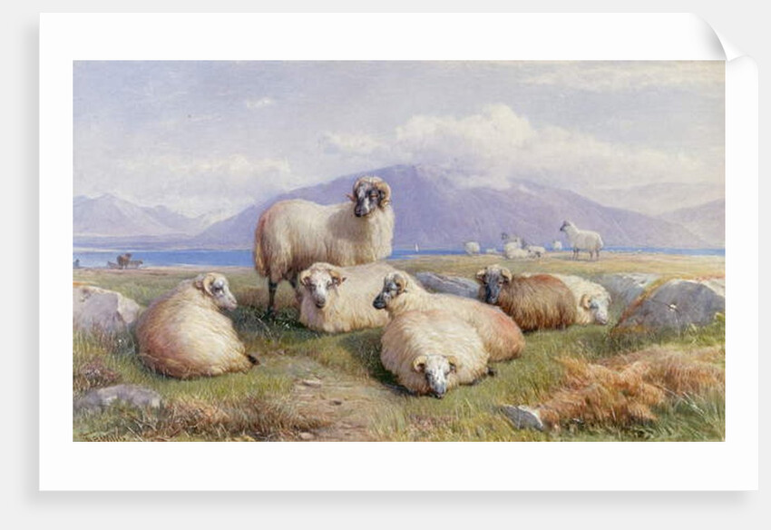 In the Heart of the Highlands by Henry Brittan Willis