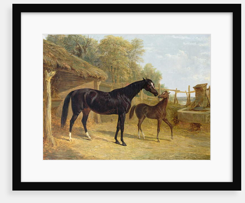 Levity, the property of J.C.Cockerill Esq., with her foal Queen Elizabeth, the property of Lord Dorchester, 1843 by John Frederick Herring Snr