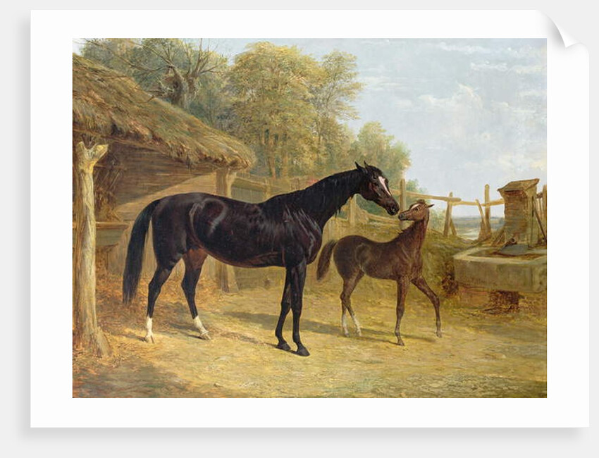 Levity, the property of J.C.Cockerill Esq., with her foal Queen Elizabeth, the property of Lord Dorchester, 1843 by John Frederick Herring Snr
