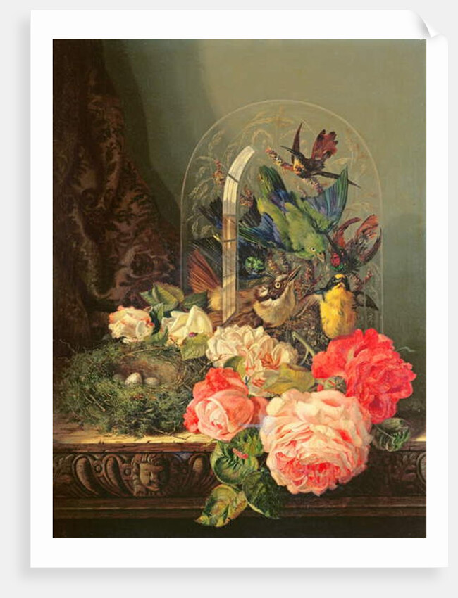 Still life of birds, flowers and a bird's nest on a table by Ellen Ladell