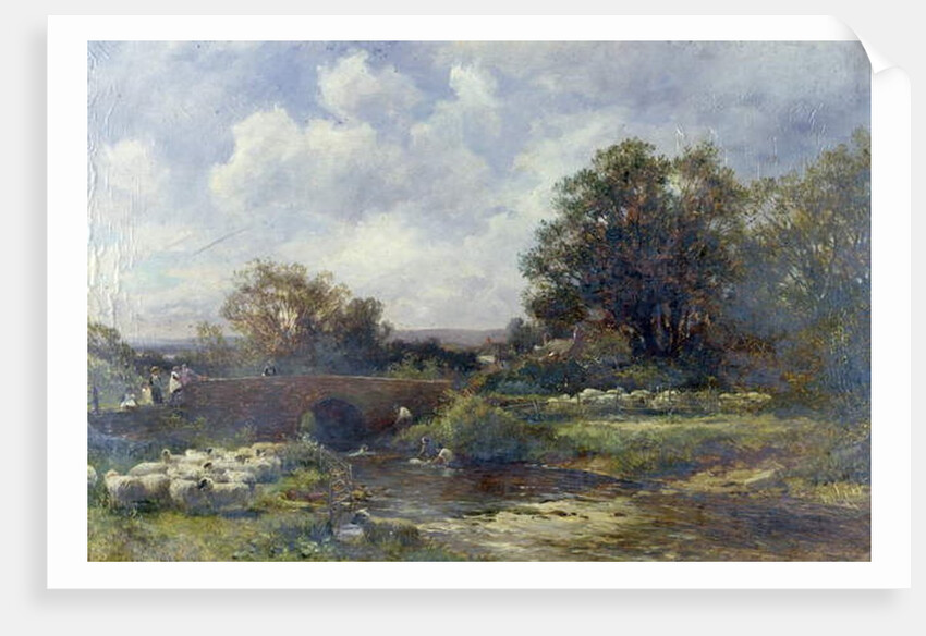 Sheep Washing - West Malvern, 1899 by David Bates