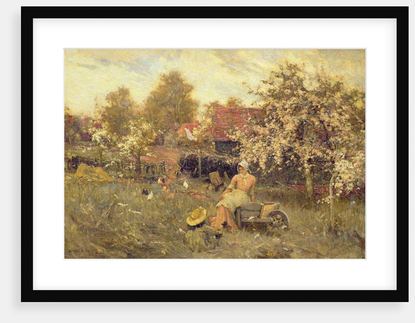 In the Orchard by Harold Waite