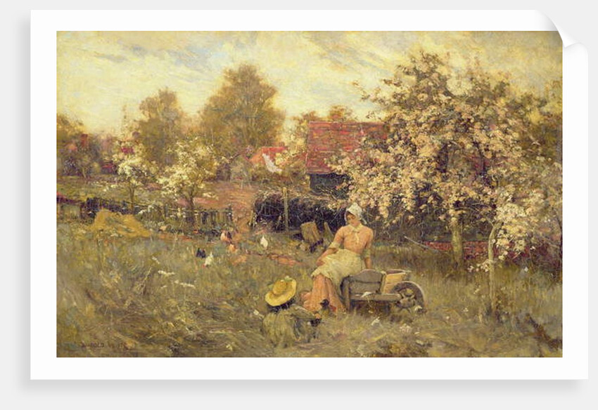 In the Orchard by Harold Waite