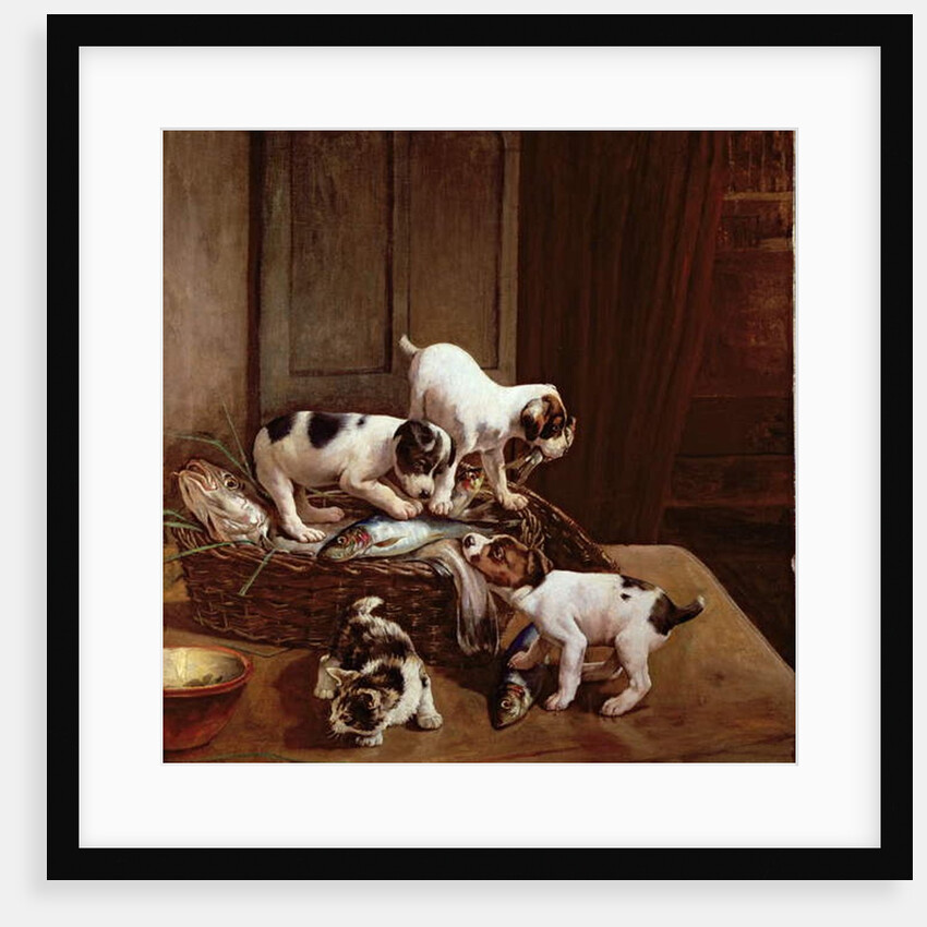 Tomorrow will be Friday by John Hayes