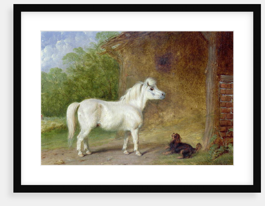 A Shetland pony and a King Charles spaniel by Martin Theodore Ward