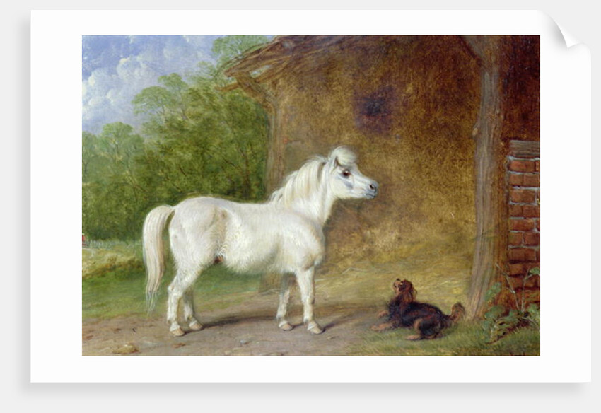 A Shetland pony and a King Charles spaniel by Martin Theodore Ward