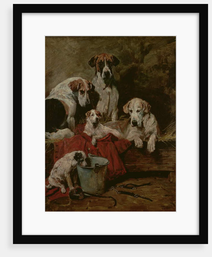 Kennel Companions by John Emms