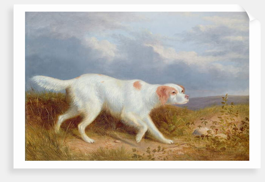 A Setter on the Moor by Philip Reinagle