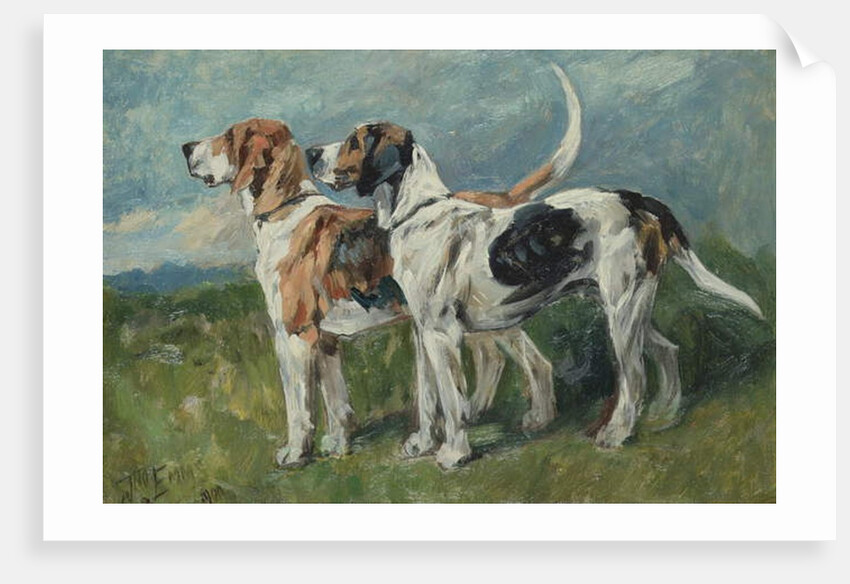 Pair of Foxhounds, 1900 by John Emms