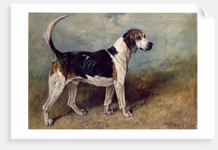 Moonstone, 1895 by John Emms