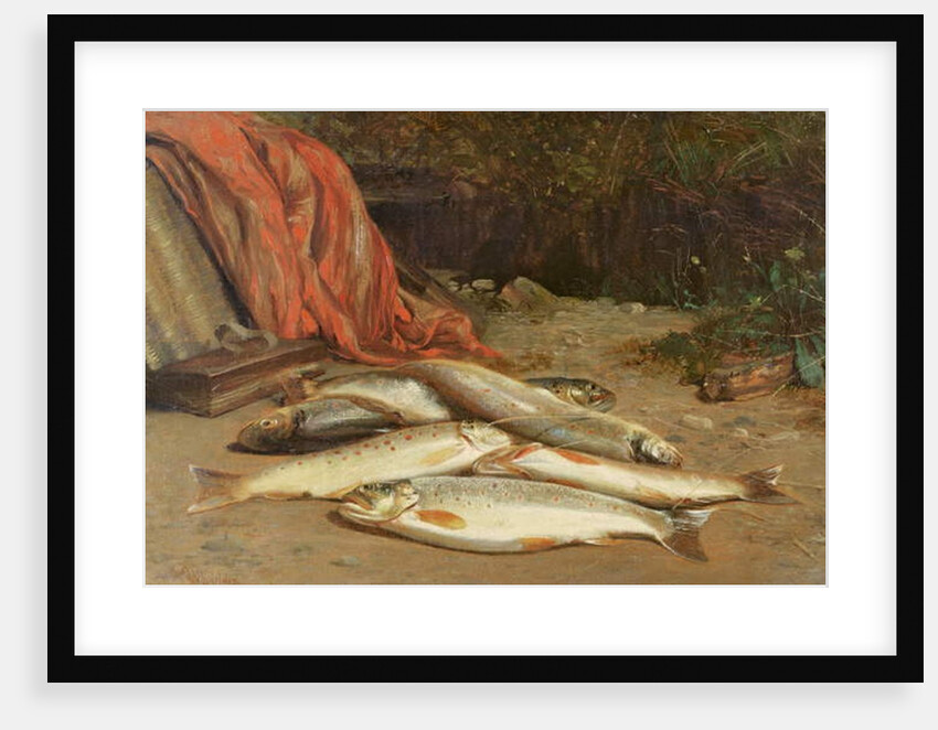 Brown trout on a river bank by William Geddes