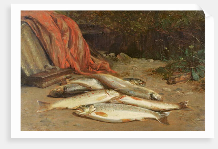 Brown trout on a river bank by William Geddes