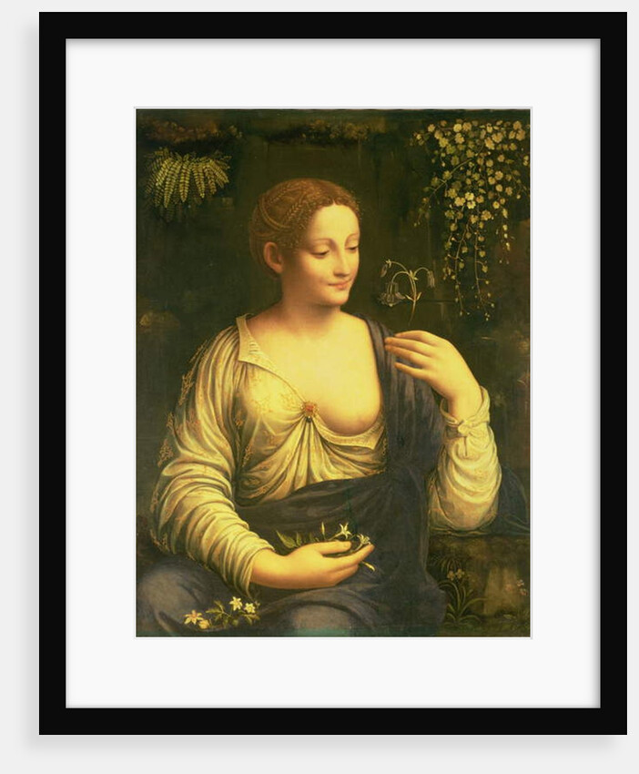 Flora, c.1520 by Francesco Melzi or Melzo