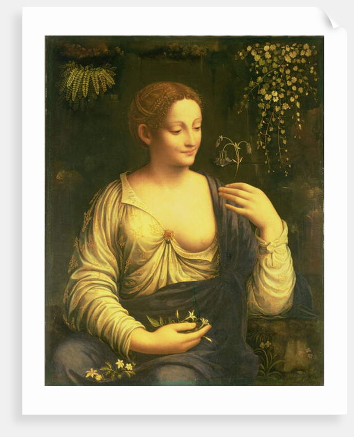 Flora, c.1520 by Francesco Melzi or Melzo