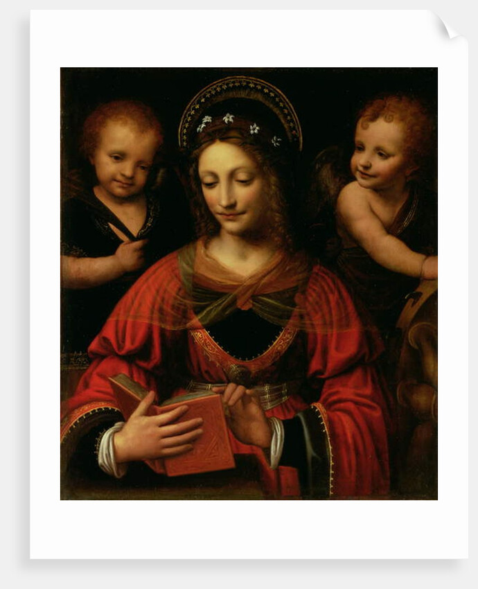 St. Catherine, 1527-31 by Bernardino Luini