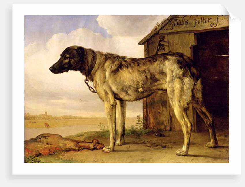 Dog on a Chain, 1653-4 by Paulus Potter