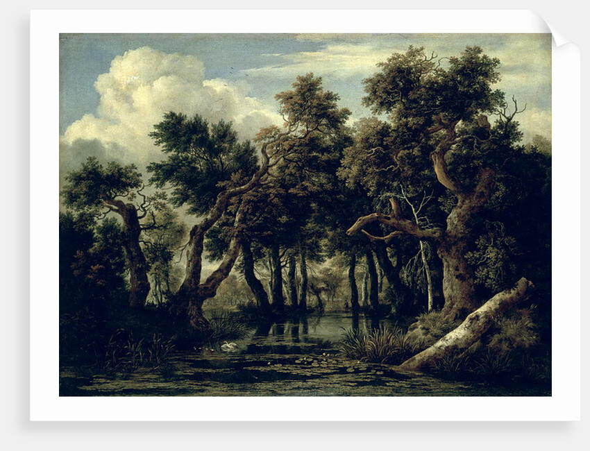 Landscape with an Oak, 1634 by Jan Josephsz van Goyen