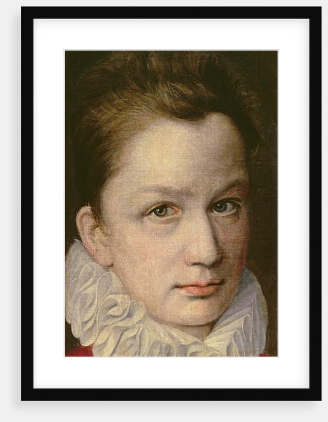 Portrait of a Youth, c.1570-75 by or Dumoustier Pierre Dumonstier