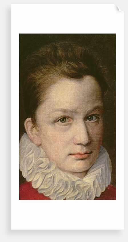 Portrait of a Youth, c.1570-75 by or Dumoustier Pierre Dumonstier