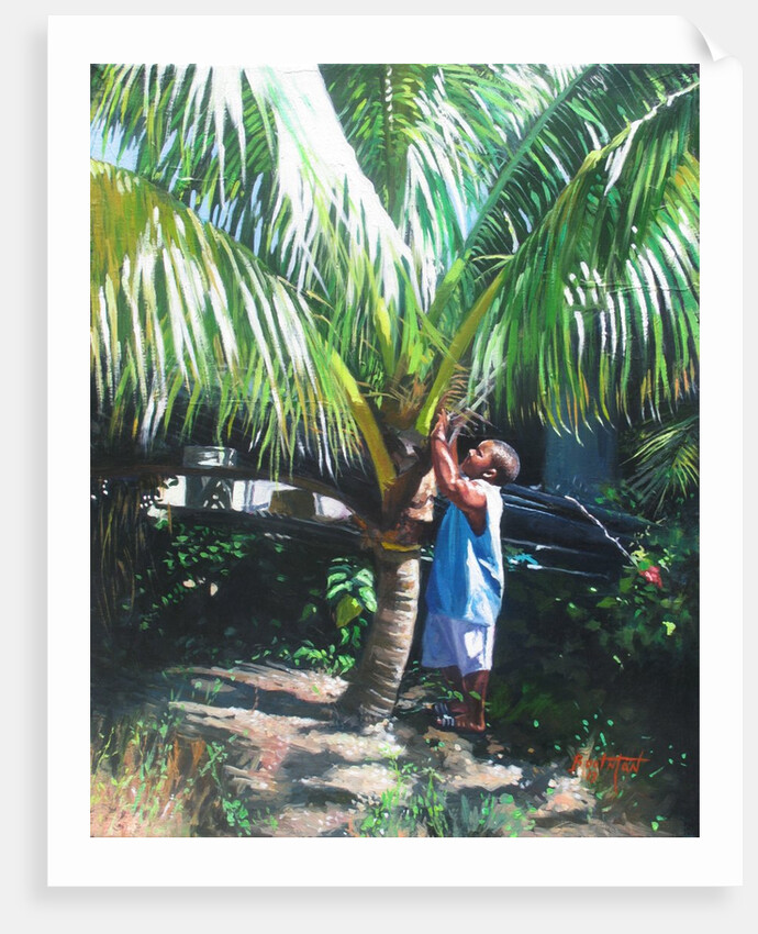 Coconut Shade, 2014 by Colin Bootman