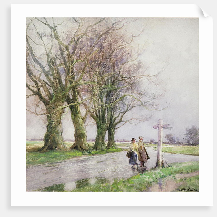 The Sign Post by William Tatton Winter