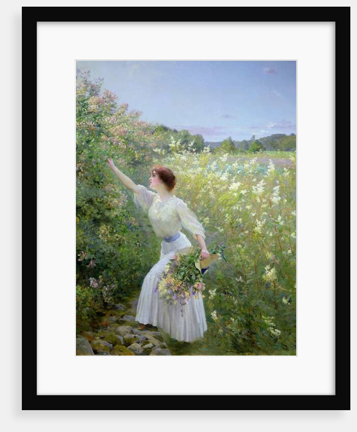 Wild Honeysuckle by Pierre Andre Brouillet