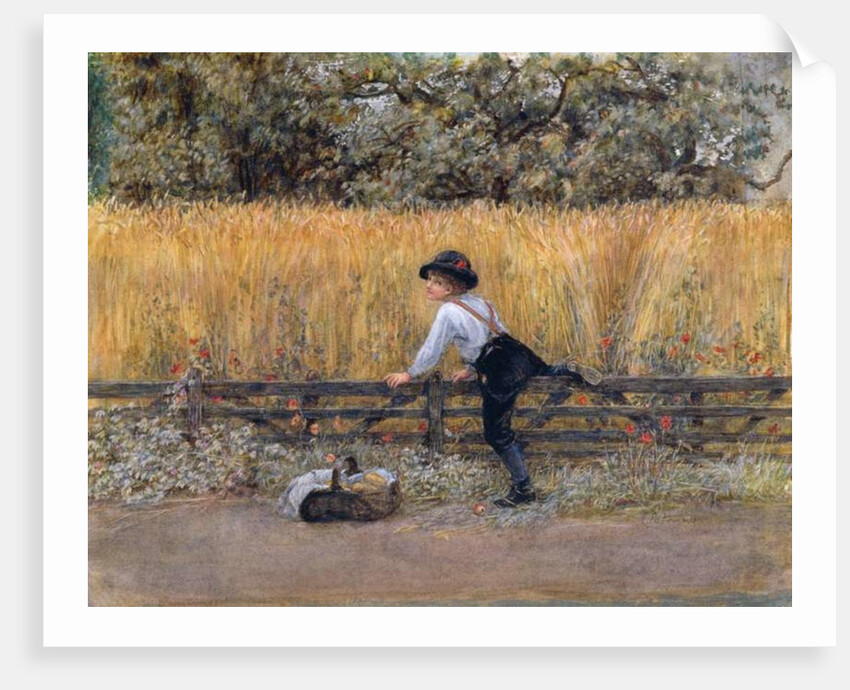 Scrumping Apples by Caroline Paterson