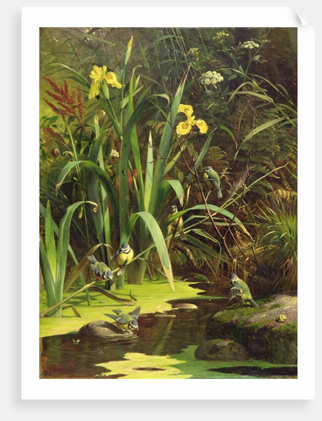 Bath Time, 1884 by Olaf August Hermansen