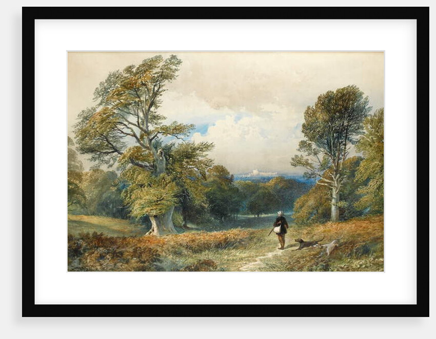 Rough Shooting in Windsor Great Park by William Collingwood Smith