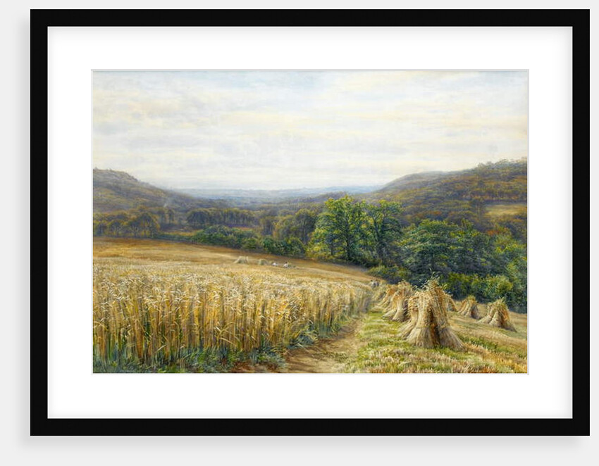 Harvest Time near Ashburton, 1884 by Edmund George Warren