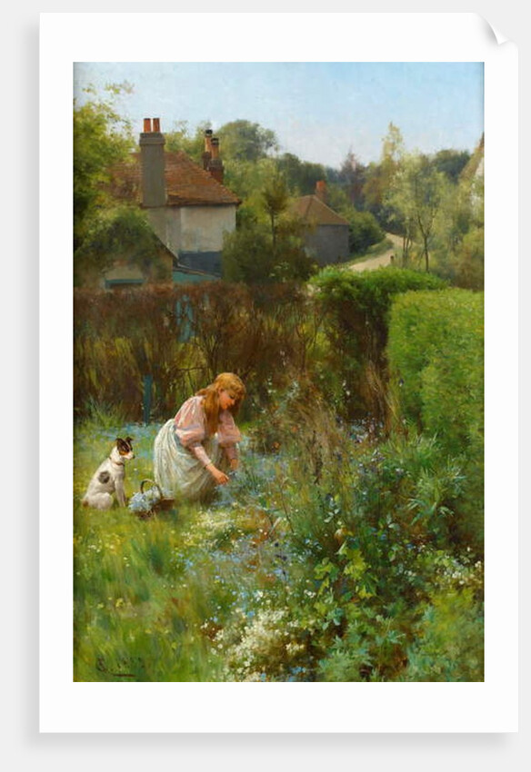 Picking Wild Flowers in the Hedgerow, 1895 by Alfred Jr. Glendening