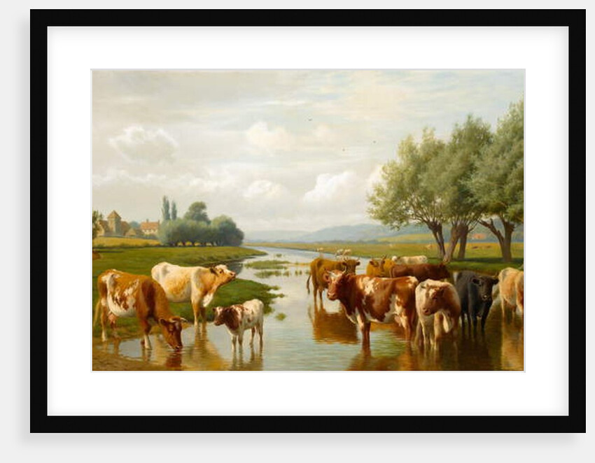 Cattle in a Water Meadow near Thanington, Kent, 1901 by William Sidney Cooper