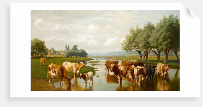 Cattle in a Water Meadow near Thanington, Kent, 1901 by William Sidney Cooper