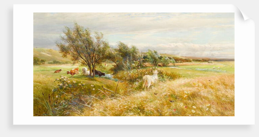 Cattle in a Water Meadow by Charles James Lewis