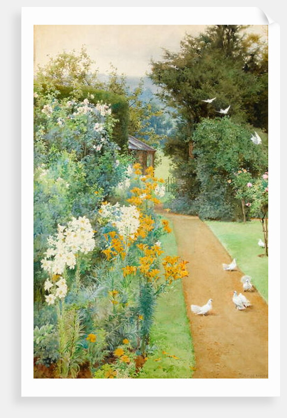 Lilies and Doves in a Corner of my Garden by Alfred Parsons