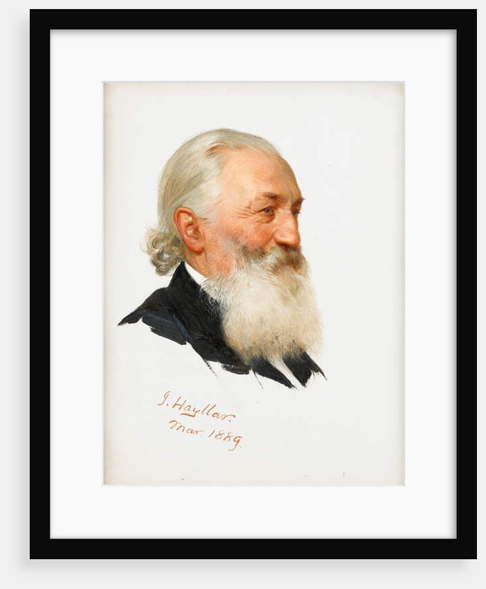 Study of a Bearded Gentleman, 1889 by James Hayllar