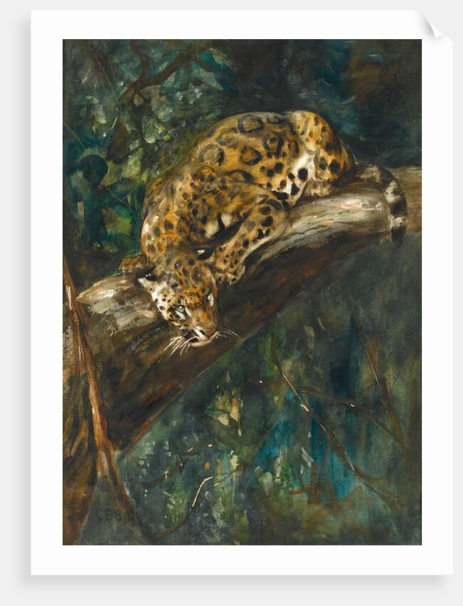 A Panther on a Branch by Cuthbert Edmund Swan