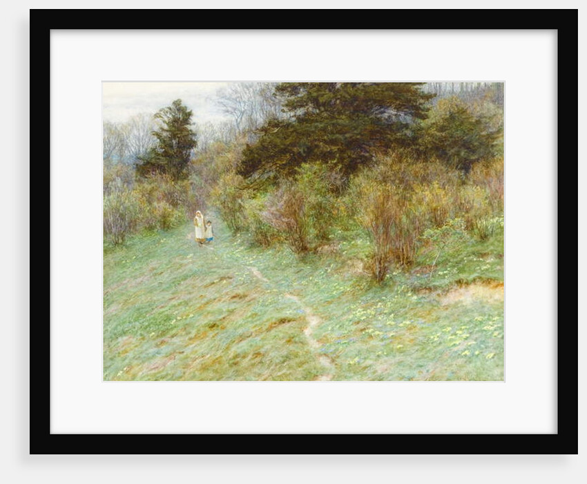 Primroses on a Surrey Heath by Helen Allingham
