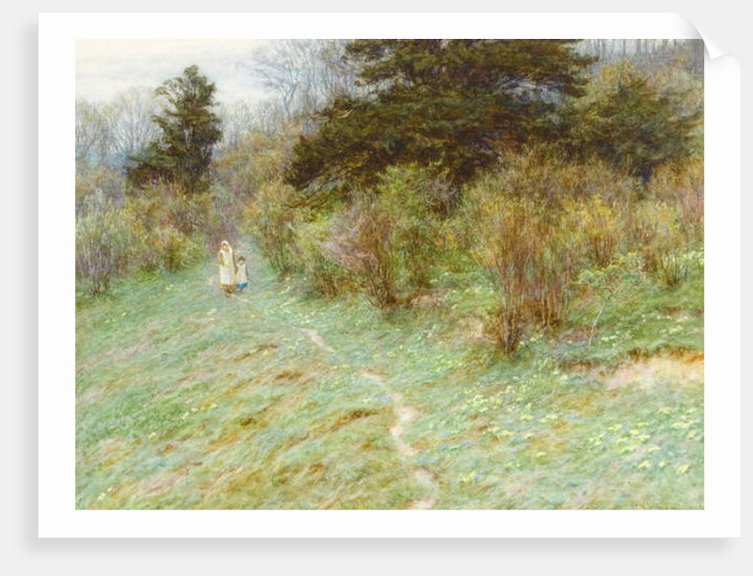 Primroses on a Surrey Heath by Helen Allingham