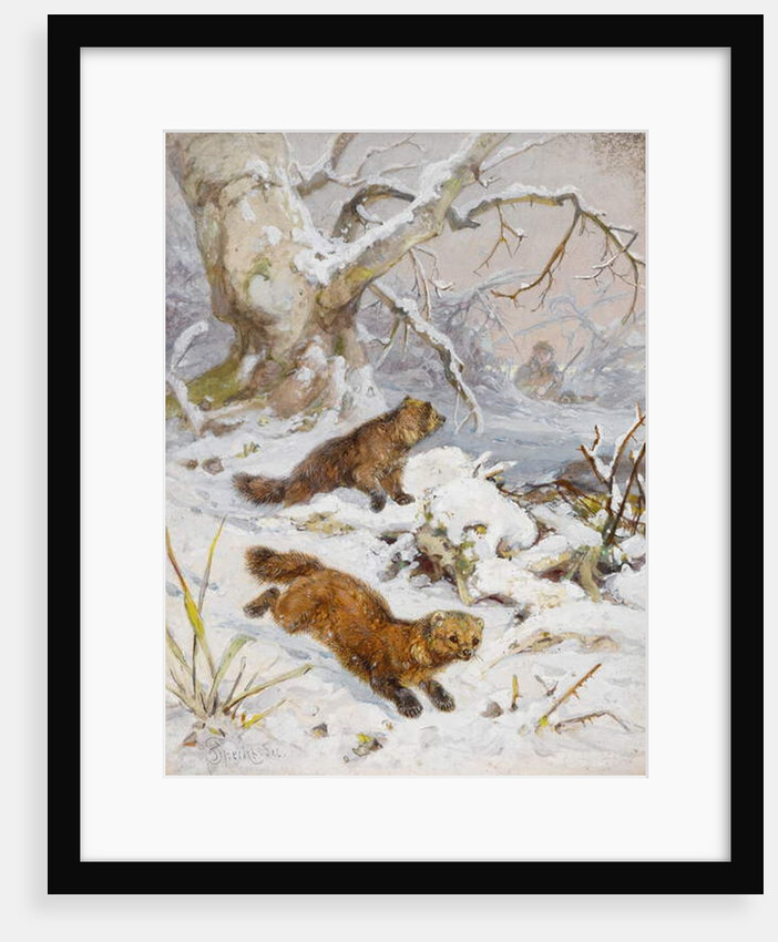 Wolverines in the Snow by August Specht