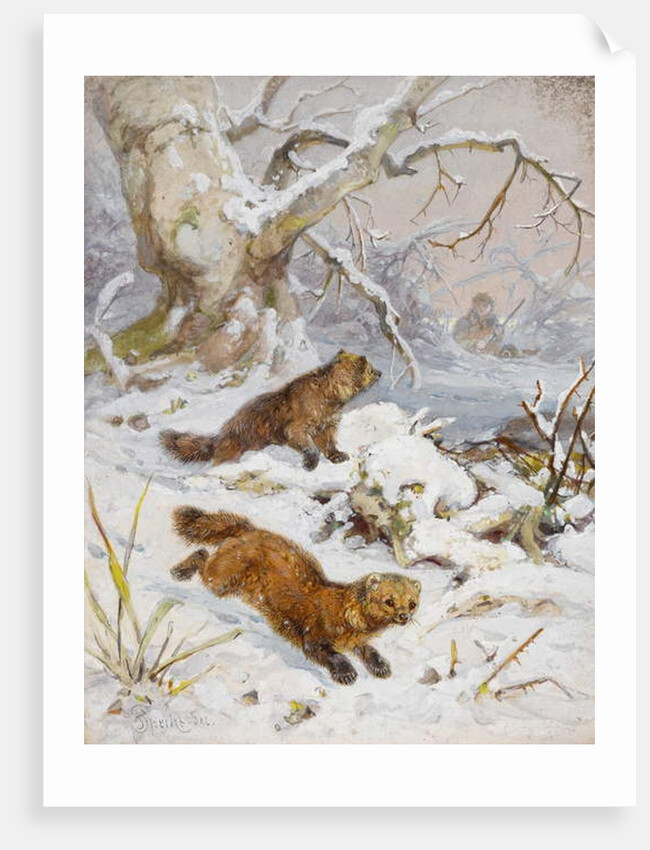 Wolverines in the Snow by August Specht