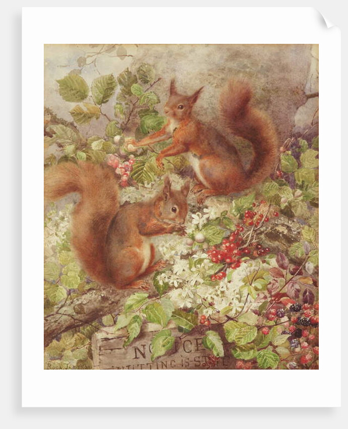 Red Squirrels Gathering Fruits and Nuts by Rosa Jameson