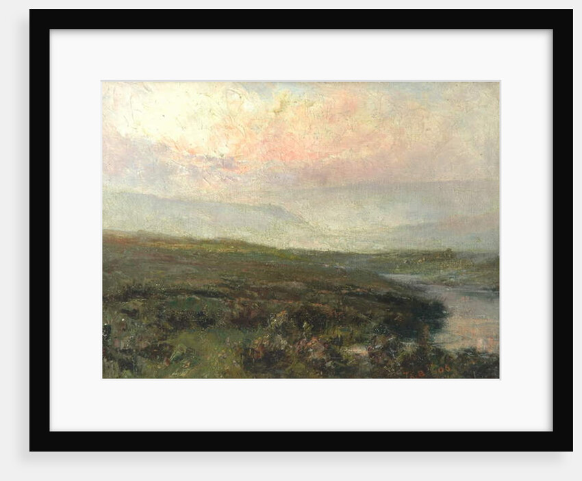 Moorland Scene by Tom Clifton Butterfield