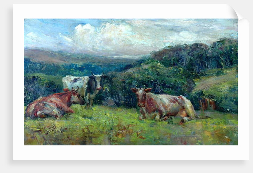 Cattle by Arthur Reginald Smith