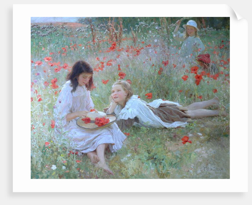 Poppies by Frederick Stead