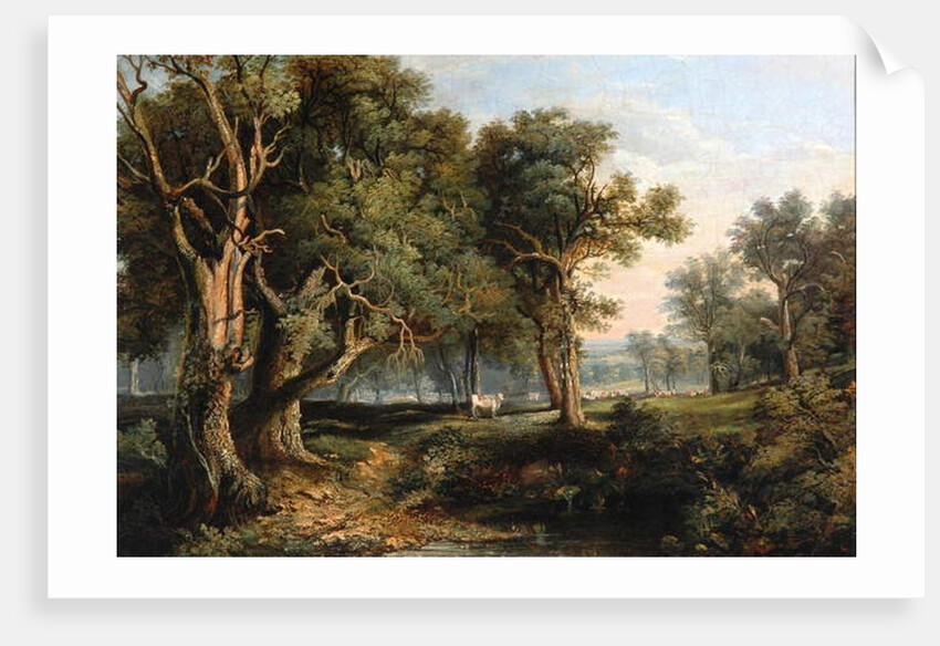 Woodland Scene by James Stark