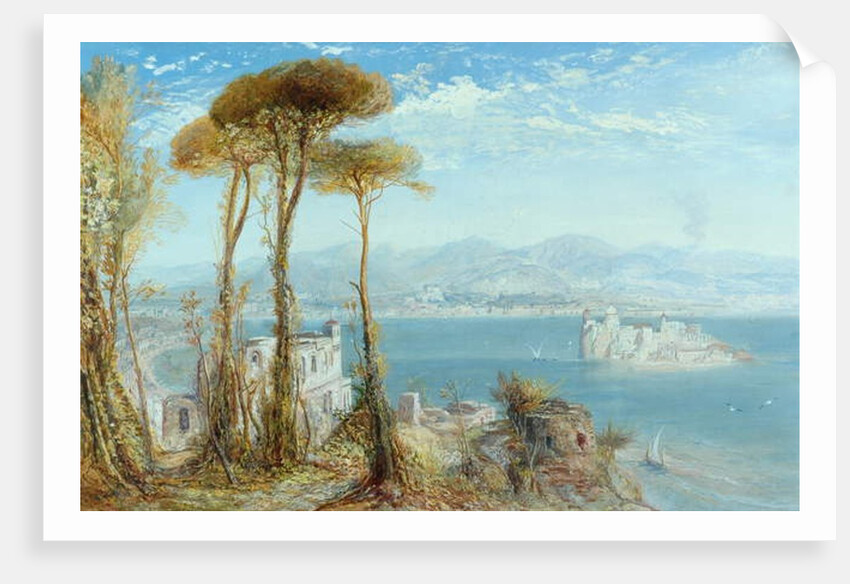 The Bay of Naples, 1876 by James Webb